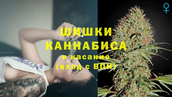 твердый Абаза