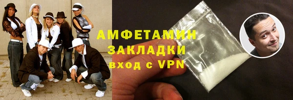 гидра Каменка