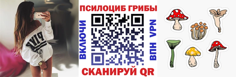 сколько стоит  Псков  Галлюциногенные грибы Psilocybine cubensis 