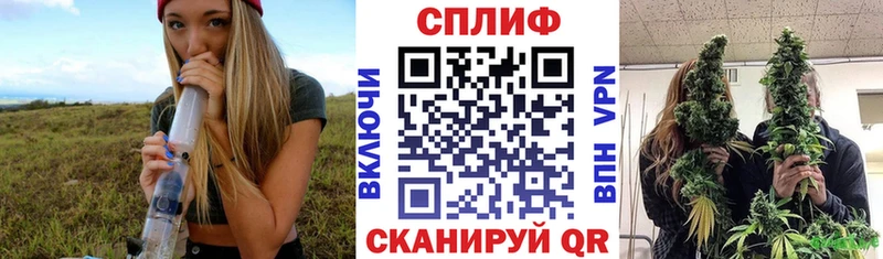 МАРИХУАНА гибрид  сколько стоит  Псков 